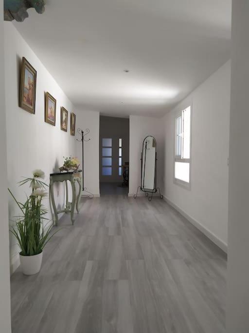 Apartamento Espectacular piso en la misma plaza del Mentidero. Cádiz Exterior foto